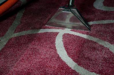 PHJ Carpet Cleaning And Restoration - Renee 16