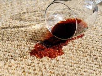 PHJ Carpet Cleaning And Restoration - Renee 18