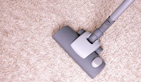 Elite Carpet Cleaning & Pest Control - Internet Find 1
