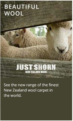 Newcastle Carpet One - Qld Realsetate 2