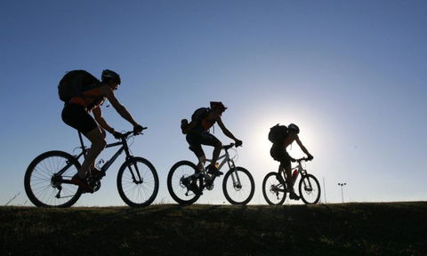 Bikes R Us - Swimm 4