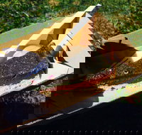 Byron Juice Bar - Swimm