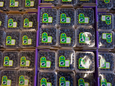 Jolly Berries - Internet Find 0