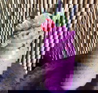 Jungle - Qld Realsetate