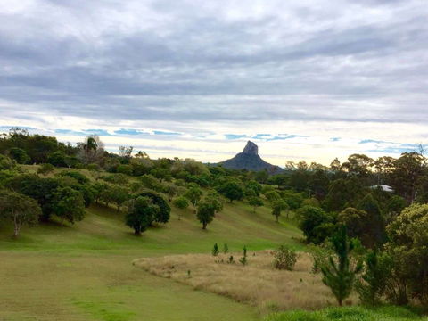 Lookout Cafe - Renee 0