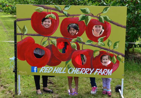 Red Hill Cherry Farm - Renee 1