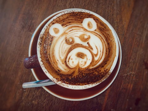 The Mountain Brew Coffee - Renee 0