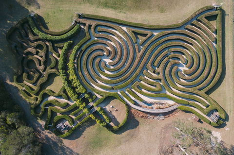 Bago Maze And Wine - Internet Find 0