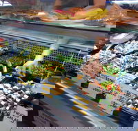 Chippendale Scoop - Renee