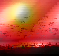 Cool Spot Cafe - Fannie Bay - Swimm