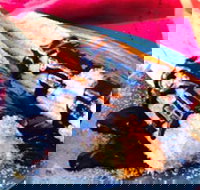 Donut King - Chirnside Park - Renee