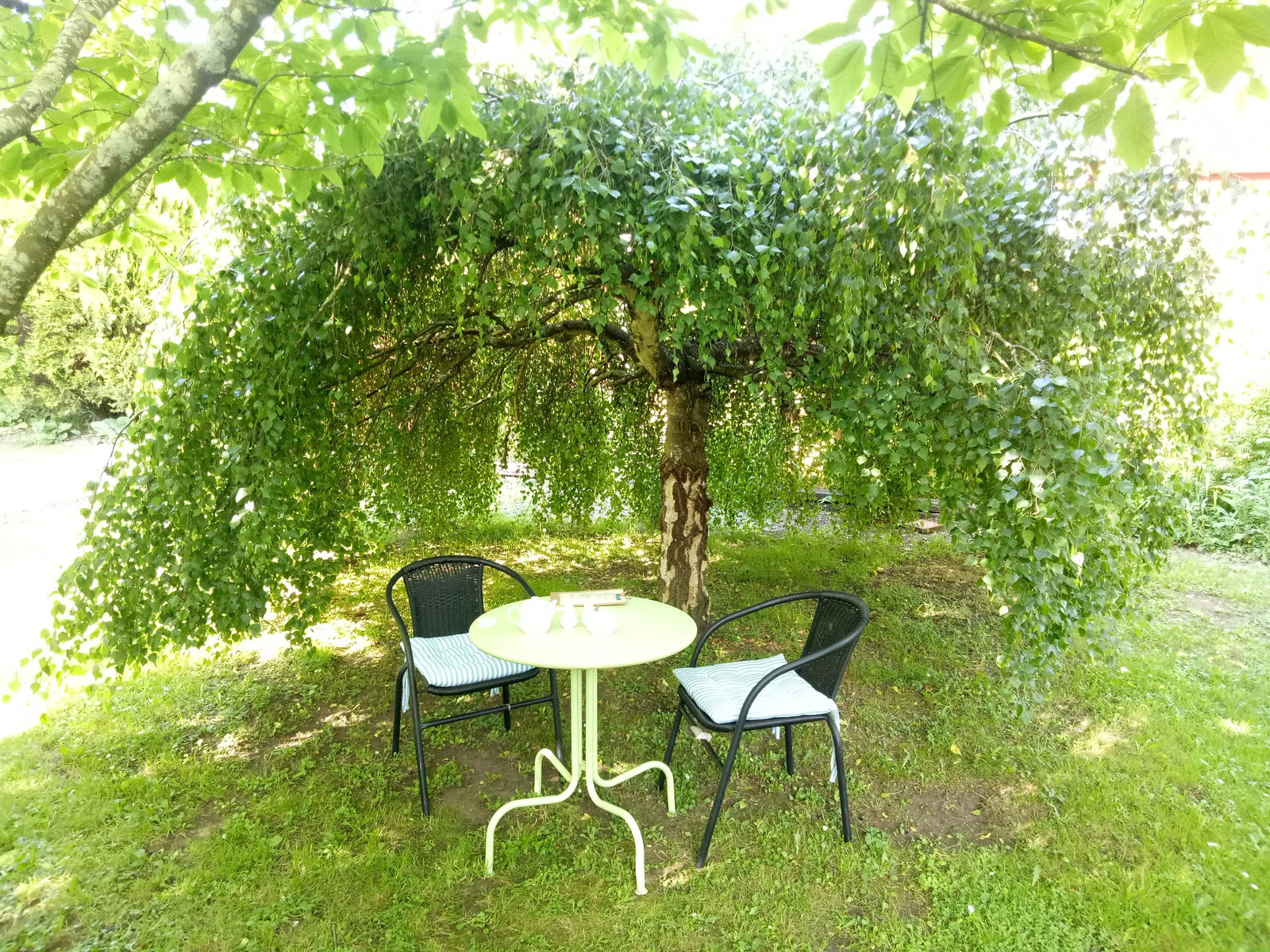 Mole Creek TAS Qld Realsetate