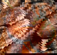 Mr Espresso - Ramsgate - Qld Realsetate