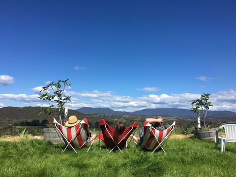 Red Feet Wines - Renee 0