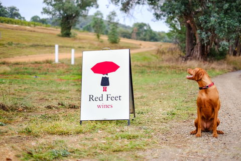 Red Feet Wines - Renee 2