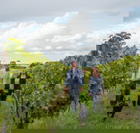 Ross Hill Wines - Renee