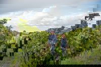Ross Hill Wines