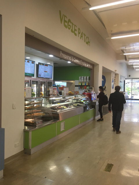 Vegie Patch - Swimm 0