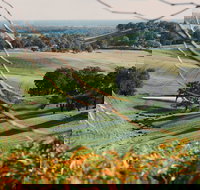 Green Door Winery Cellar Door - Swimm