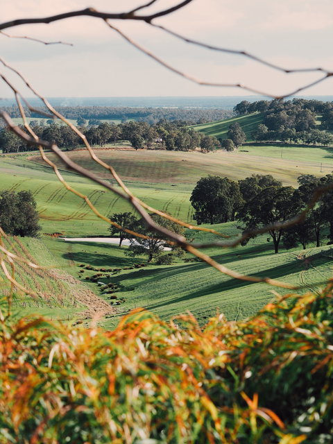 Green Door Winery Cellar Door - Swimm 0