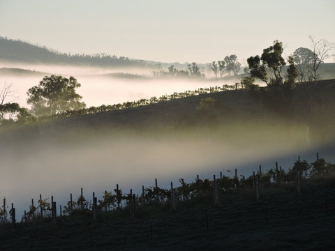 Mt Bera Cellar Door And Restaurant - Renee 1