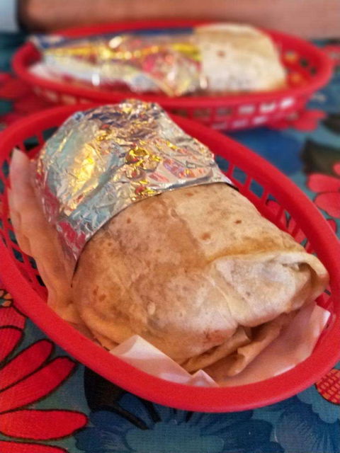 Muchacha - North Curl Curl - Internet Find 0