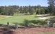 Birdies On Bent - thumb 1