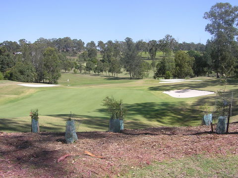 Birdies On Bent - Internet Find 1