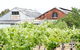 Chambers Rosewood Vineyards - thumb 1
