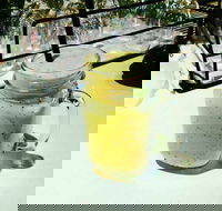 Common Ground - Renee