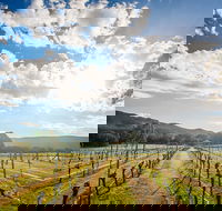 Fallen Giants Vineyard - Internet Find