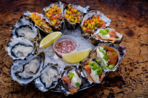 Freycinet Marine Farm - Swimm 1