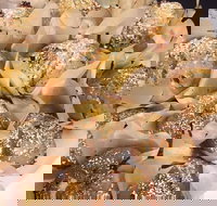 Jammy Cow - Qld Realsetate