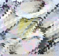 Kiwi Fish Shop - Rosebery - Renee