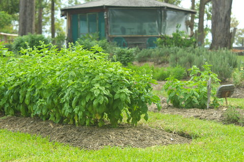 Hillview Herb Farm - Renee 2