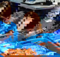 Northern Rivers Seafood - Swimm