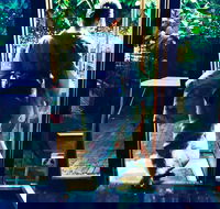 Tsunami