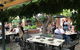Vine And Tap - thumb 1