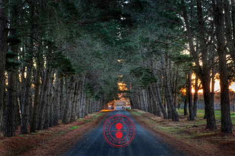 Eden Road Wines - Renee 1