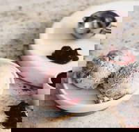 Gelatissimo - Artarmon - Internet Find