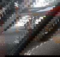 Matty and John's Espresso Bar - Qld Realsetate