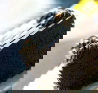 Noci Licensed Restaurant - Renee