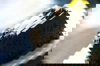 Noci Licensed Restaurant