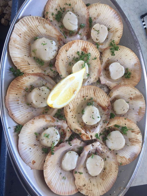 The Deck On Parkyn - Renee 0