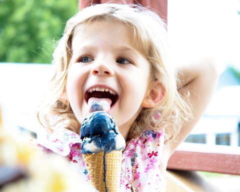 Kangaroo Valley Fudge House And Ice Creamery - Swimm 2