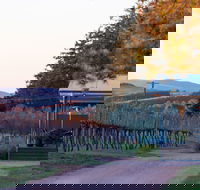 Rowlee Wines - Qld Realsetate