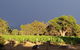 Clayfield Wines - thumb 2
