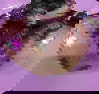 Kokonut Willy's Bar and Grill - Renee