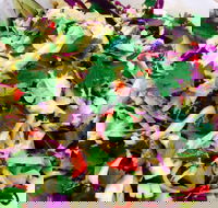 Metro Market Seafood - Renee