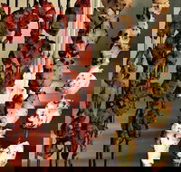 The Spice Yard - Internet Find